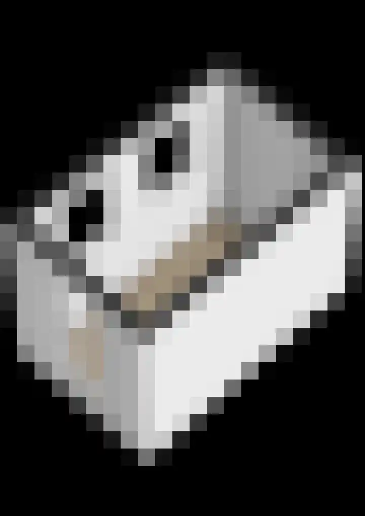 Valgeweg 18 Feerwerd thumbnail 33