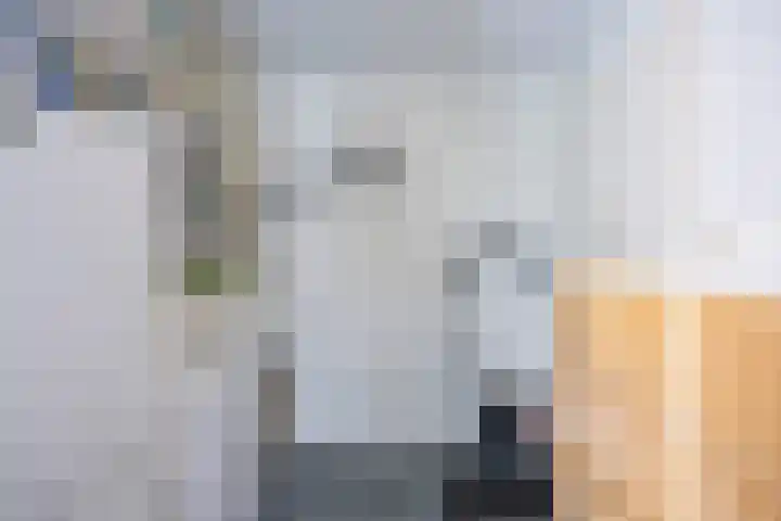 Valk 10 Bedum thumbnail 20