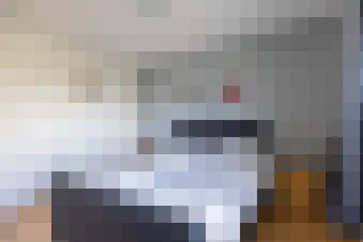 Valk 10 Bedum thumbnail 23