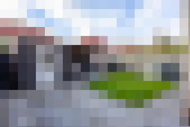 Valk 10 Bedum thumbnail 39
