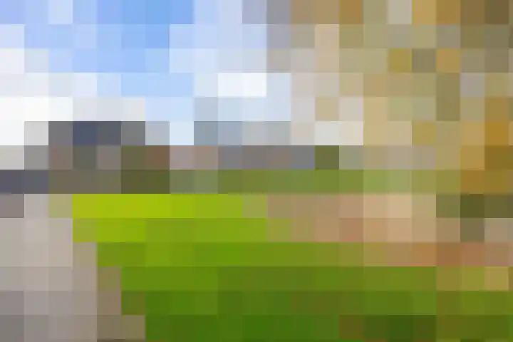 Valk 10 Bedum thumbnail 4