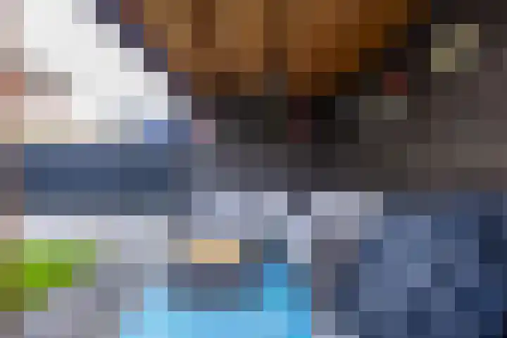 Valk 10 Bedum thumbnail 42
