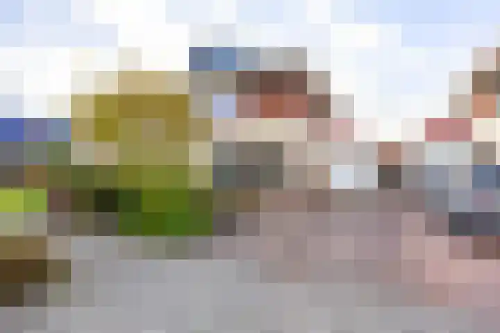 Valk 10 Bedum thumbnail 5