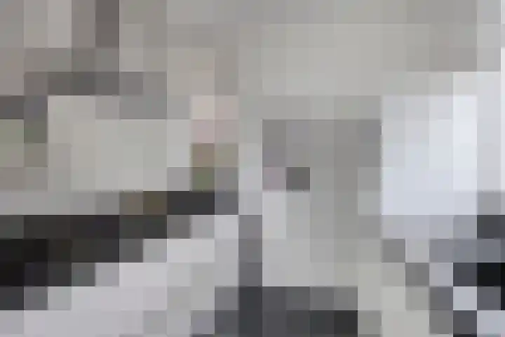Valkappel 11 Lith thumbnail 11