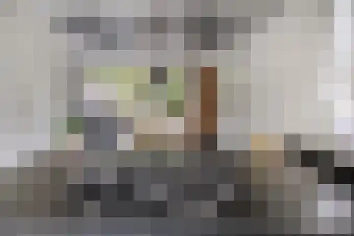 Valkappel 11 Lith thumbnail 13