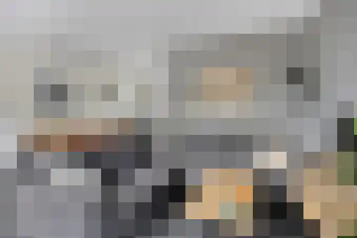 Valkappel 11 Lith thumbnail 19