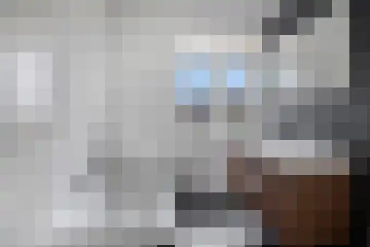 Valkappel 11 Lith thumbnail 23