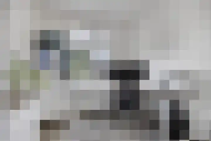 Valkappel 11 Lith thumbnail 29