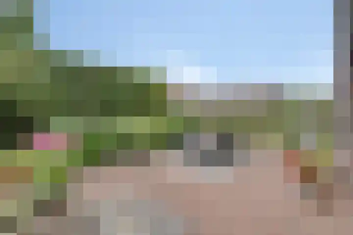 Valkappel 11 Lith thumbnail 36