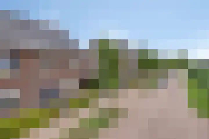Valkappel 11 Lith thumbnail 43