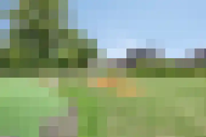 Valkappel 11 Lith thumbnail 45