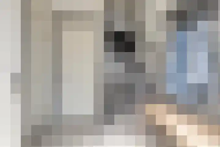 Valkappel 17 Helden thumbnail 6