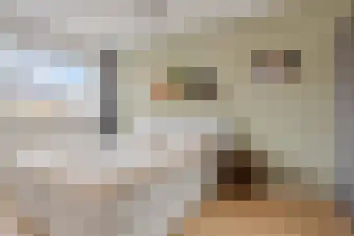 Valkappel 19 Helden thumbnail 18