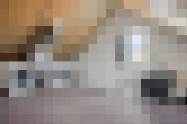 Valkappel 19 Helden thumbnail 24