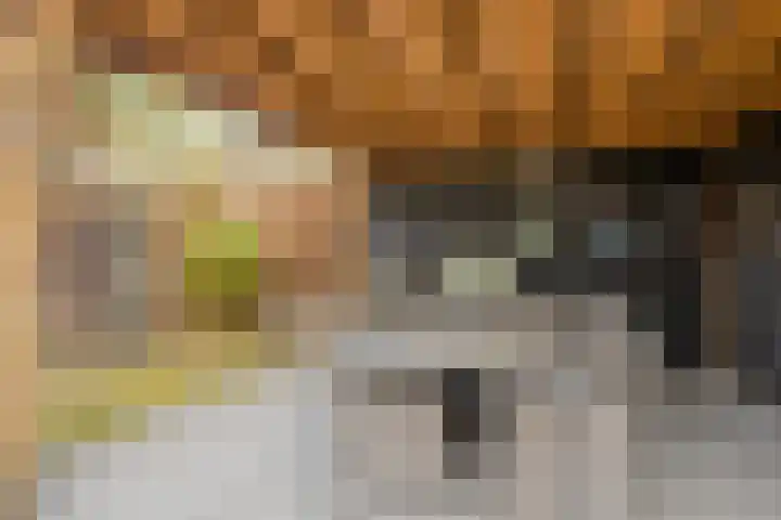 Valkappel 19 Helden thumbnail 27