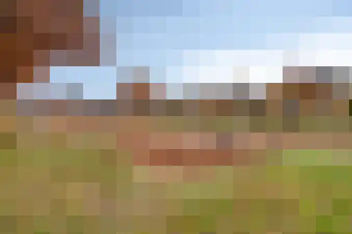 Valkappel 19 Helden thumbnail 34
