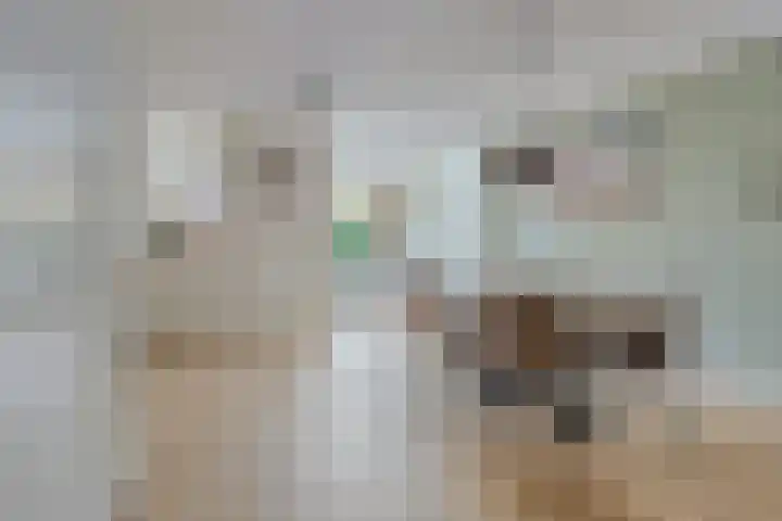 Valkappel 19 Helden thumbnail 7