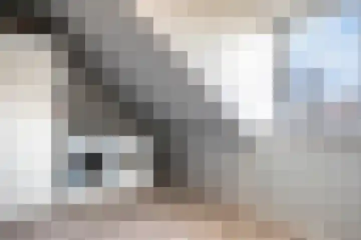 Valkappel 32 Herveld thumbnail 32