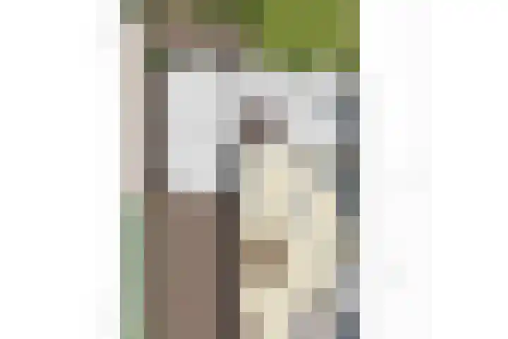 Valkappel 32 Herveld thumbnail 43