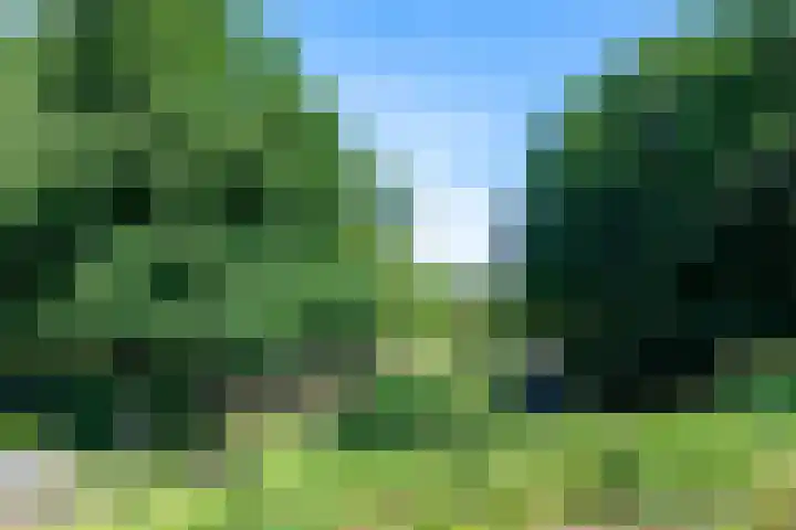 Valkenburgerweg 42 Nuth thumbnail 43