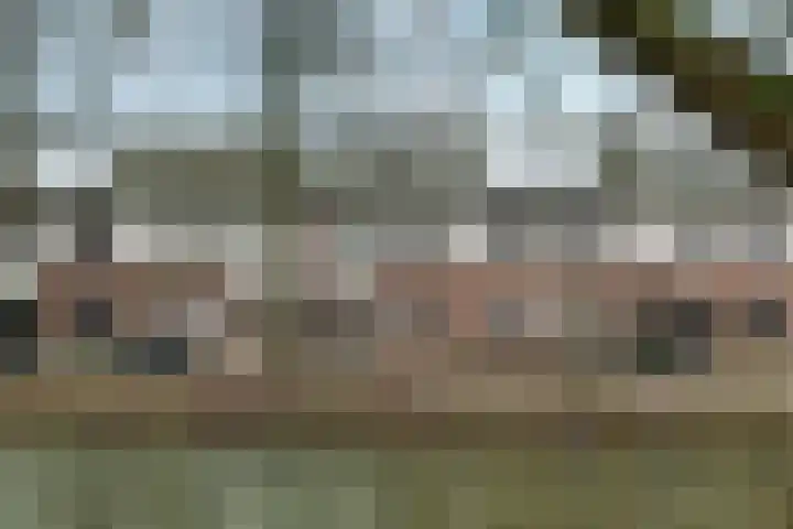 Valkenburgsingel 138 Rotterdam thumbnail 6