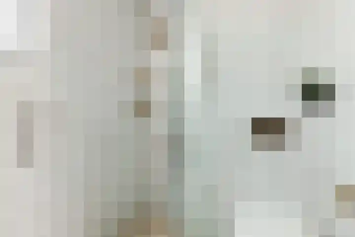 Valkenburgsingel 15 Rotterdam thumbnail 21