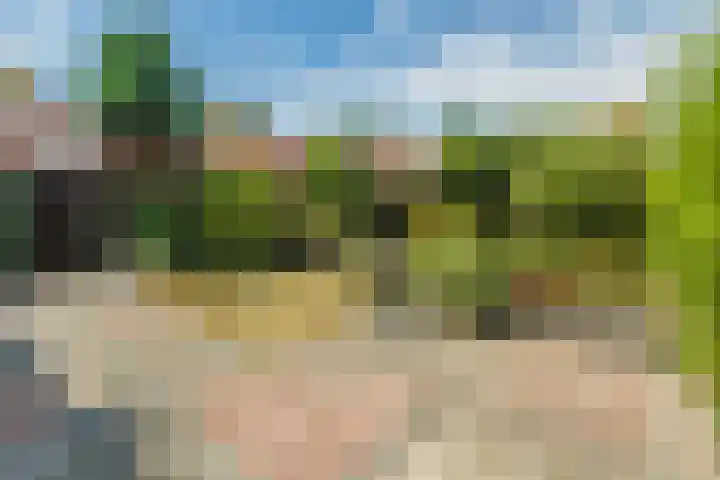 Valkenburgstraat 45 Uden thumbnail 49