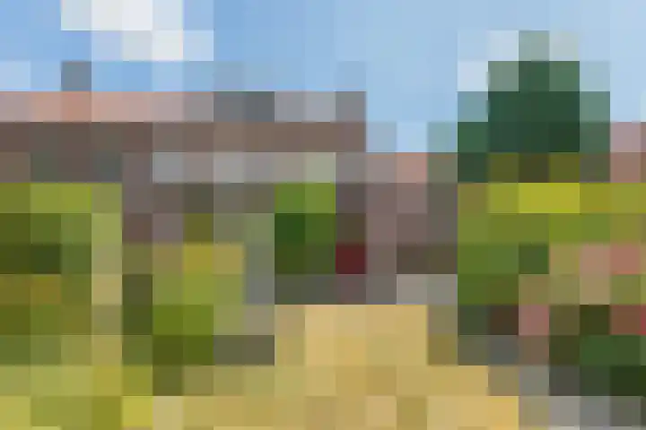 Valkenburgstraat 45 Uden thumbnail 52