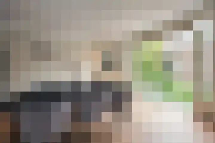 Valkenburgstraat 45 Uden thumbnail 8