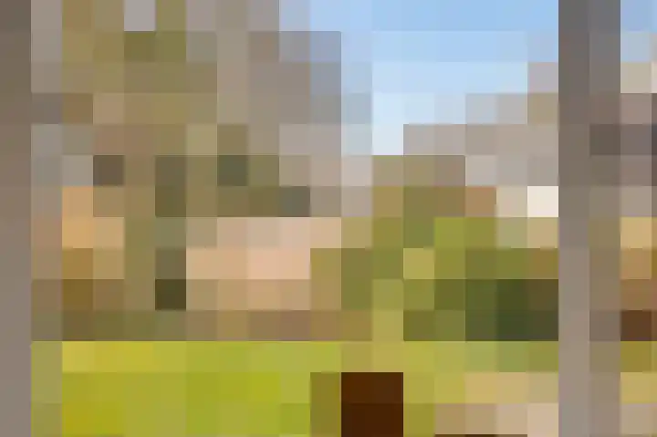 Valkenhof 8 Borne thumbnail 10