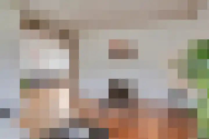 Valkenhof 8 Borne thumbnail 11