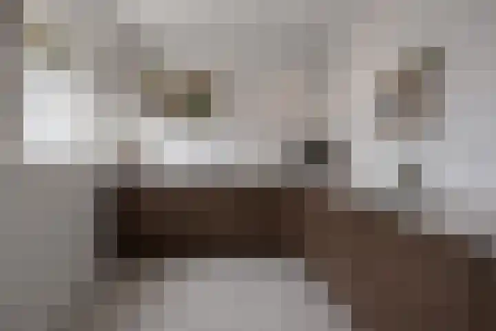 Valkenhof 8 Borne thumbnail 17