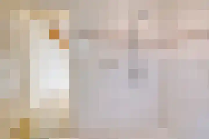 Valkenhof 8 Borne thumbnail 22