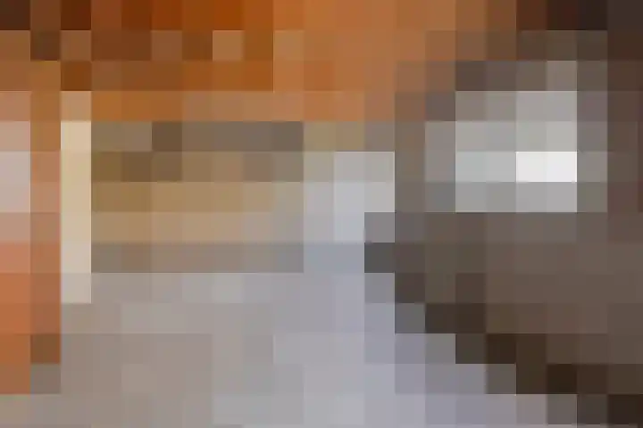 Valkenhof 8 Borne thumbnail 35