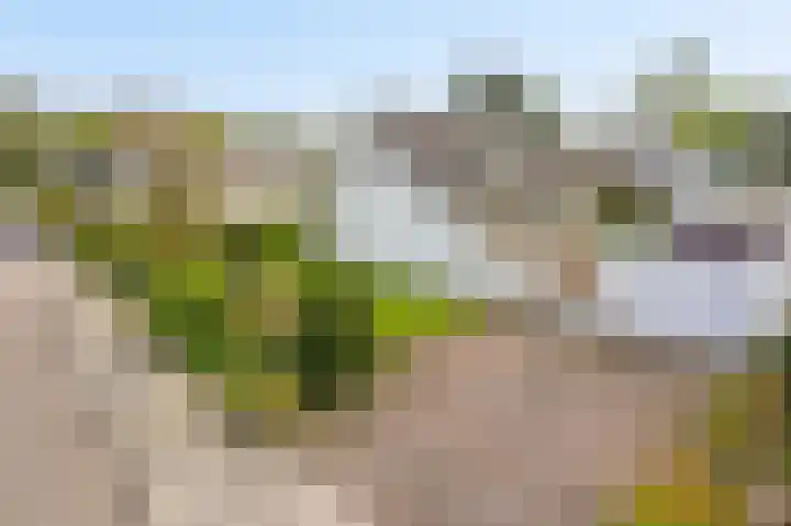 Valkenhof 8 Borne thumbnail 39