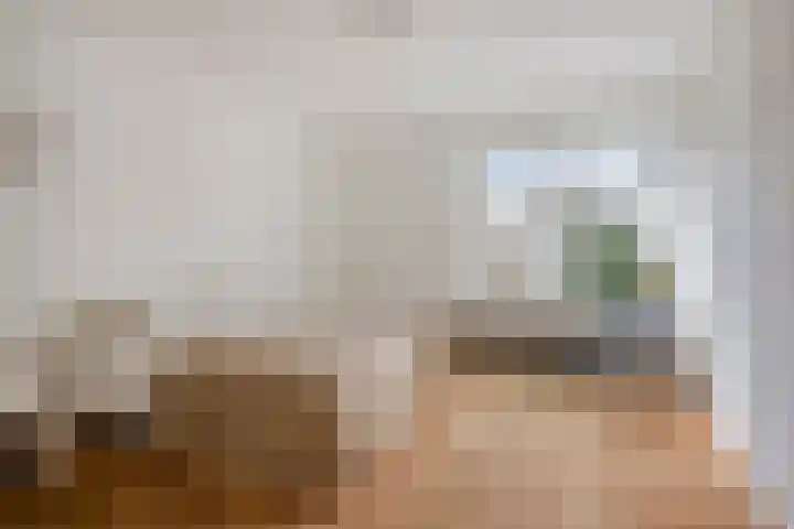 Valkenhof 8 Borne thumbnail 4