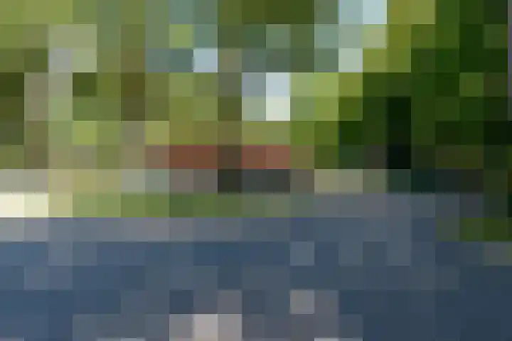 Valkenhof 8 Borne thumbnail 41