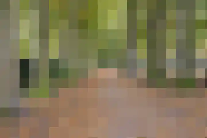 Valkenhof 8 Borne thumbnail 43