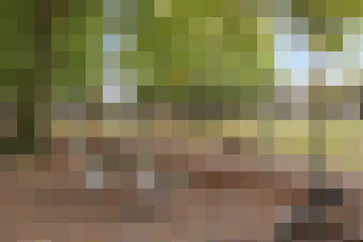 Valkenhof 8 Borne thumbnail 44