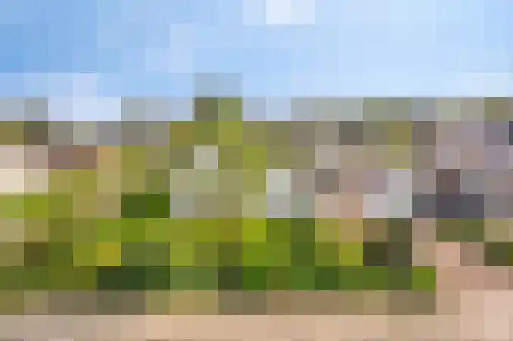Valkenhof 8 Borne thumbnail 6