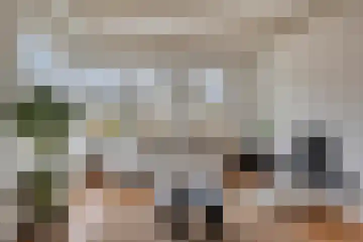 Valkenhof 8 Borne thumbnail 9