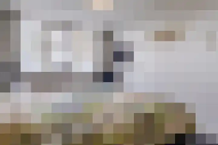 Valkenhorst 92 Cuijk thumbnail 18