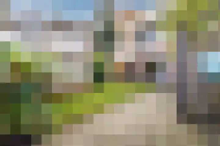Valkenhorst 92 Cuijk thumbnail 30