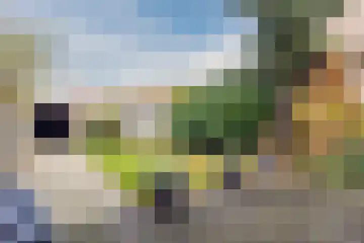 Valkenhorst 92 Cuijk thumbnail 31