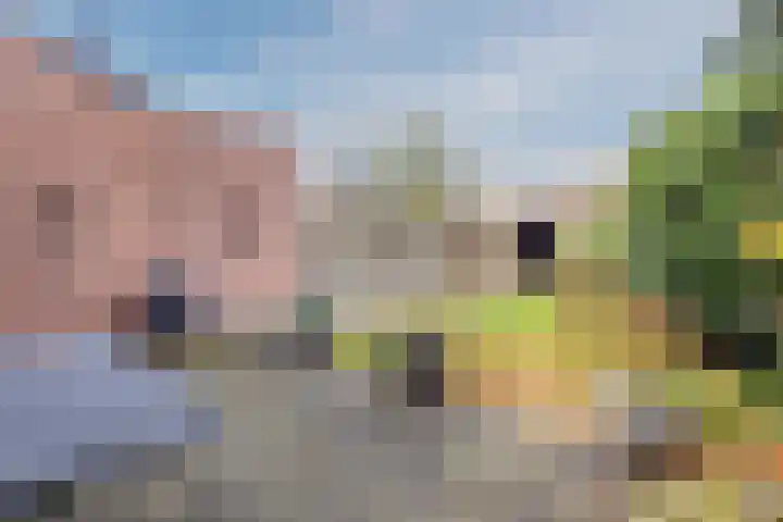 Valkenhorst 92 Cuijk thumbnail 32