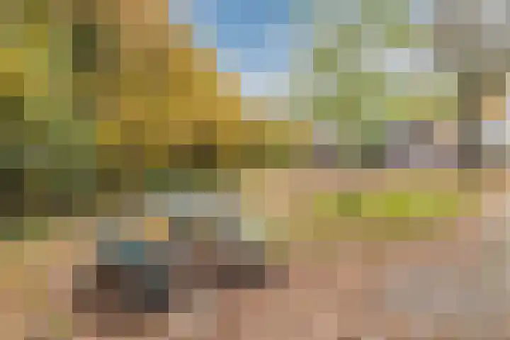 Valkenhorst 92 Cuijk thumbnail 37