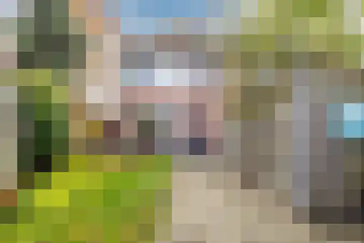 Valkenhorst 92 Cuijk thumbnail 5