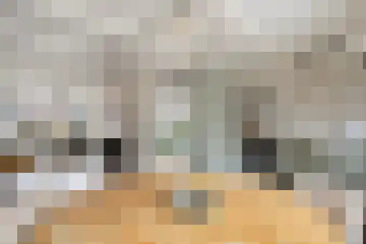 Valkenier 16 Barneveld thumbnail 10