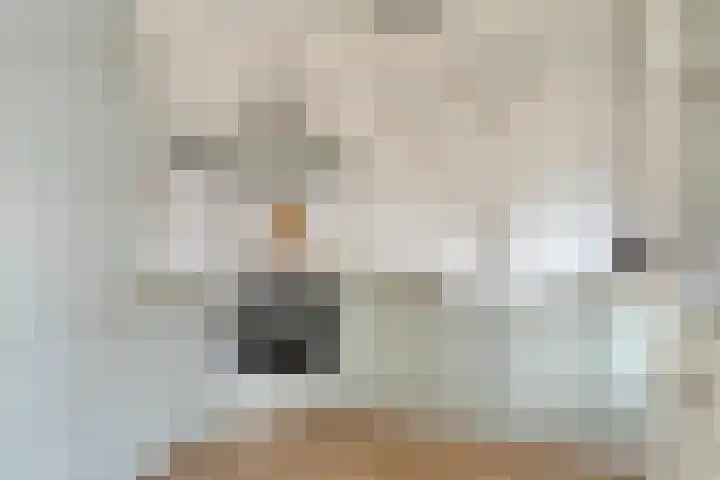 Valkenier 16 Barneveld thumbnail 11
