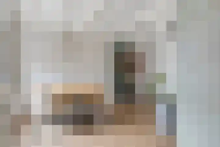 Valkenier 16 Barneveld thumbnail 13